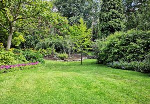 Optimiser l'expérience du jardin à Bouin-Plumoison